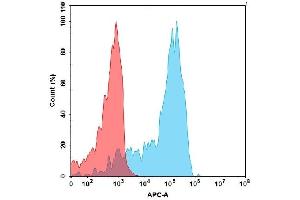 Flow cytometry analysis with 15 μg/mL Human IG Protein, His Tag (ABIN7092833, ABIN7272498 and ABIN7272499) on Expi293 cells transfected with Human CD93 protein (Blue histogram) or Expi293 transfected with irrelevant protein (Red histogram). (IGFBP7 Protein (AA 30-282) (His tag))