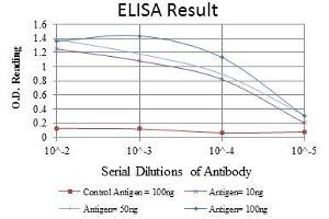 ELISA image for anti-Mitogen-Activated Protein Kinase 3 (MAPK3) antibody (ABIN969277)