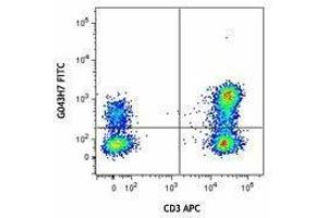 Flow Cytometry (FACS) image for anti-Chemokine (C-C Motif) Receptor 7 (CCR7) antibody (FITC) (ABIN2661555) (CCR7 antibody  (FITC))