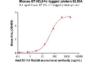 ELISA plate pre-coated by 1 μg/mL (100 μL/well) Mouse B7-H3 Protein, hFc Tag  (ABIN7092853, ABIN7272472 and ABIN7272473) can bind anti-B7-H3 monoclonal antibody ABIN6964053, ABIN7272678 and ABIN7289667 in a linear range of 3. (CD276 Protein (CD276) (AA 29-244) (Fc Tag))