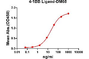 ELISA plate pre-coated by 2 μg/mL (100 μL/well) Human 4-1BB Ligand protein, mFc-His tagged protein ABIN6961118, ABIN7042265 and ABIN7042266 can bind Rabbit anti-4-1BB Ligand monoclonal antibody (clone: DM68) in a linear range of 1-100 ng/mL. (Recombinant TNFSF9 antibody  (AA 52-254))