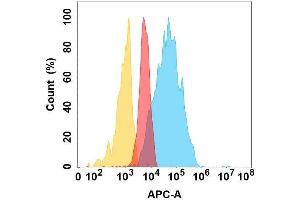 TSLP protein is highly expressed on the surface of Expi293 cell membrane. (Thymic Stromal Lymphopoietin antibody)