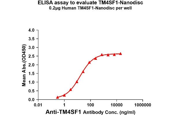 TM4SF1 Protein