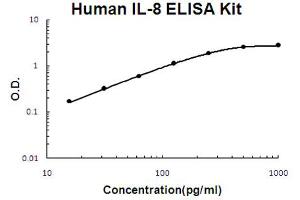 Human IL-8 Accusignal ELISA Kit Human IL-8 AccuSignal ELISA Kit standard curve. (IL-8 ELISA Kit)