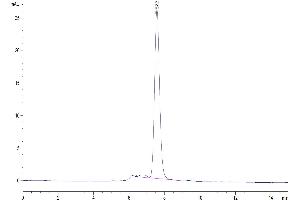 The purity of Biotinylated Cynomolgus GARP&Latent TGF beta Complex is greater than 95 % as determined by SEC-HPLC. (GARP & Latent TGF beta 1 Complex (AA 18-628) protein (His-Avi Tag,Biotin))