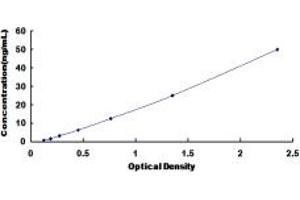 Typical standard curve (Intestinal Alkaline Phosphatase ELISA Kit)