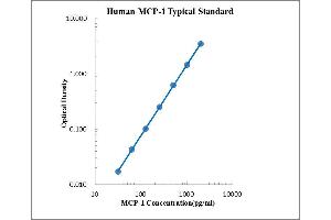 ELISA image for Chemokine (C-C Motif) Ligand 2 (CCL2) ELISA Kit (ABIN2472081) (CCL2 ELISA Kit)