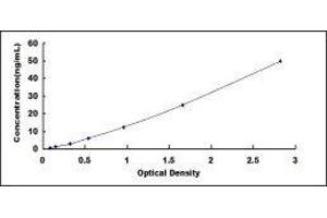 ELISA image for High Density Lipoprotein (HDL) ELISA Kit (ABIN424285) (HDL ELISA Kit)