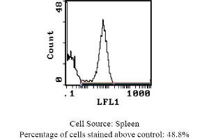 Mouse anti MHC Class II (RT1D) OX-17 (MHC Class II (RT1D) antibody (Biotin))