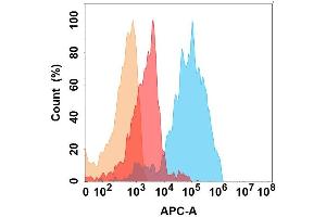 IL11RA protein is highly expressed on the surface of Expi293 cell membrane. (IL11RA antibody)