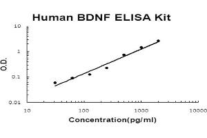 Human BDNF Accusignal ELISA Kit Human BDNF AccuSignal ELISA Kit standard curve. (BDNF ELISA Kit)