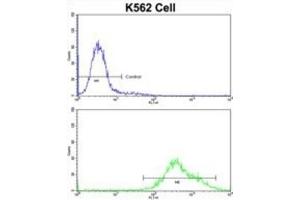 Flow Cytometry (FACS) image for anti-Paired Box 3 (PAX3) antibody (ABIN3001734) (Paired Box 3 antibody)