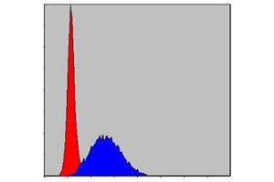 Flow Cytometry (FACS) image for anti-Minichromosome Maintenance Complex Component 2 (MCM2) antibody (ABIN969280)