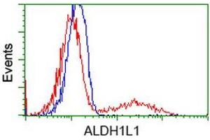 HEK293T cells transfected with either RC213720 overexpress plasmid (Red) or empty vector control plasmid (Blue) were immunostained by anti-ALDH1L1 antibody (ABIN2452743), and then analyzed by flow cytometry. (ALDH1L1 antibody)