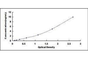 ELISA image for Heme Oxygenase (Decycling) 1 (HMOX1) ELISA Kit (ABIN416094) (HMOX1 ELISA Kit)