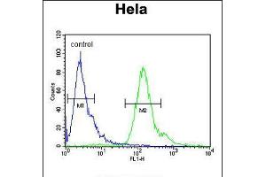 Flow cytometric analysis of Hela cells (right histogram) compared to a negative control cell (left histogram). (MMGT1 antibody  (C-Term))