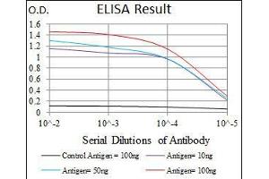 ELISA image for anti-Nitric Oxide Synthase 2, Inducible (NOS2) antibody (ABIN969551)