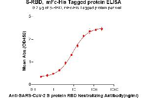 ELISA plate pre-coated by 2 μg/mL (100 μL/well) SARS-CoV-2 (2019-nCoV) S protein RBD, mFc-His tagged protein (ABIN6961147, ABIN7042323 and ABIN7042324) can bind Anti-SARS-CoV-2 S protein RBD Neutralizing Antibody (A neutralizing monoclonal antibody clone currently under clinical investigation from collaboration company) in a linear range of 0. (SARS-CoV-2 Spike Protein (RBD) (mFc-His Tag))