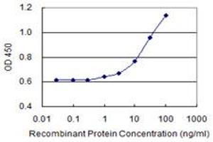 Detection limit for recombinant GST tagged MBOAT7 is 0. (MBOAT7 antibody  (AA 96-192))