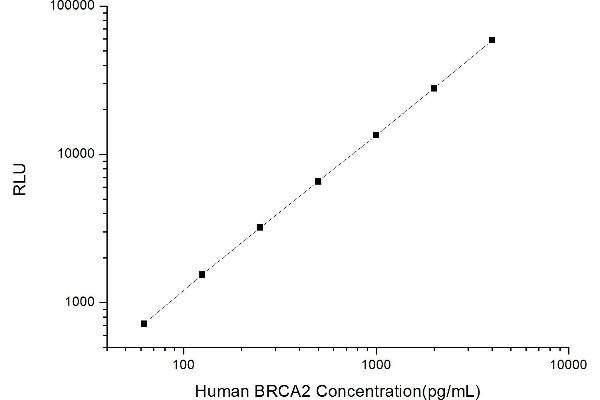 BRCA2 CLIA Kit