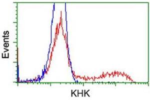 HEK293T cells transfected with either RC202424 overexpress plasmid (Red) or empty vector control plasmid (Blue) were immunostained by anti-KHK antibody (ABIN2453198), and then analyzed by flow cytometry. (Ketohexokinase antibody)