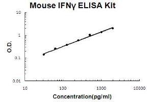 Mouse IFN gamma Accusignal ELISA Kit Mouse IFN gamma AccuSignal standard curve. (Interferon gamma ELISA Kit)