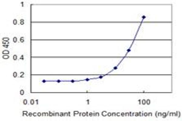 TTLL1 antibody  (AA 1-423)