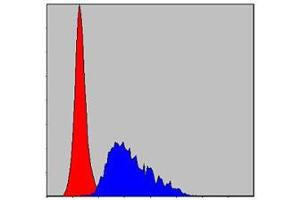 Flow cytometric analysis of HepG2 cells using FGG mouse mAb (blue) and negative control (red). (FGG antibody)