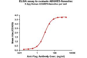 ELISA image for ADGRE5 protein (ABIN7491535)