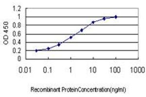 Detection limit for recombinant GST tagged MAP3K4 is approximately 0. (MAP3K4 antibody  (AA 1201-1300))