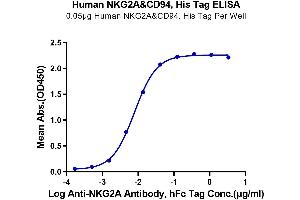 Immobilized Human NKG2A&CD94, His Tag at 0. (NKG2A & CD94 protein (His-Avi Tag))
