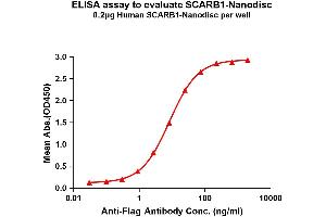 Elisa plates were pre-coated with Flag Tag SC-Nanodisc (0. (SCARB1 Protein)