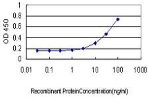 Detection limit for recombinant GST tagged RBP4 is approximately 3ng/ml as a capture antibody. (RBP4 antibody  (AA 19-201))