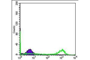 Flow Cytometry (FACS) image for anti-Eukaryotic Translation Initiation Factor 4E (EIF4E) antibody (ABIN969094)