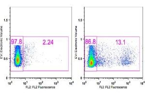 Flow Cytometry (FACS) image for anti-HLA-DR (HLA-DR) antibody (PE) (ABIN2704370)