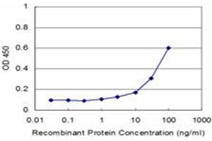 Detection limit for recombinant GST tagged PCBP2 is approximately 3ng/ml as a capture antibody. (PCBP2 antibody  (AA 1-362))