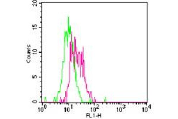 TLR11 antibody  (AA 911-926) (FITC)