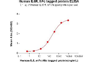 ELISA plate pre-coated by 1 μg/mL (100 μL/well) Human IL6R, hFc tagged protein (ABIN7092702, ABIN7272204 and ABIN7272205) can bind Human IL6, mFc-His tagged protein ABIN6961105, ABIN7042239 and ABIN7042240 in a linear range of 14. (IL-6 Receptor Protein (AA 20-365) (Fc Tag))