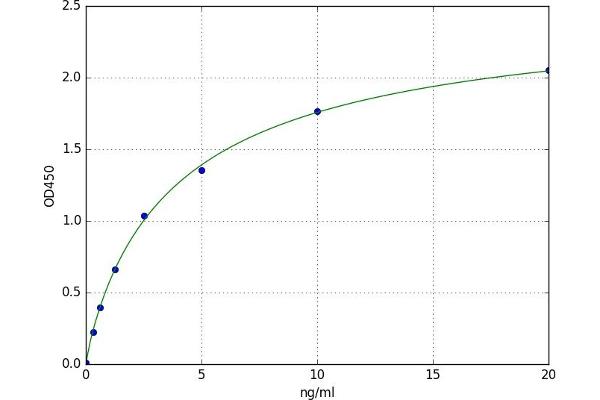 EIF6 ELISA Kit