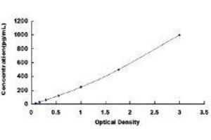 ELISA image for Activin A (ACVA) ELISA Kit (ABIN414347) (ACVA ELISA Kit)