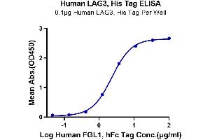 ELISA image for Lymphocyte-Activation Gene 3 (LAG3) (AA 23-434) protein (His tag) (ABIN7275113)