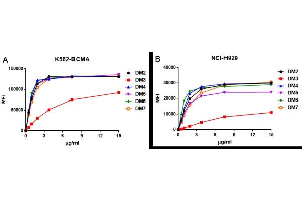 BCMA antibody  (AA 1-54)