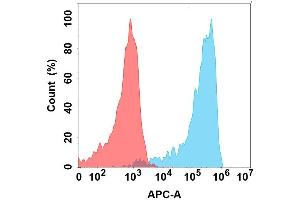 Flow cytometry analysis with Anti-V on Expi293 cells transfected with human V (Blue histogram) or Expi293 transfected with irrelevant protein (Red histogram). (VSIG4 antibody)