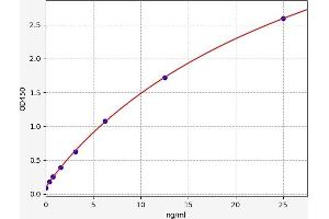 ICAM-3/CD50 ELISA Kit