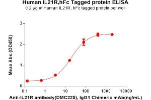 ELISA plate pre-coated by 2 μg/mL (100 μL/well) Human IL21R Protein, hFc Tag(ABIN7092688, ABIN7272228 and ABIN7272229) can bind Anti-IL21R antibody, IgG1 Chimeric mAb in a linear range of 3. (IL21 Receptor Protein (AA 20-232) (Fc Tag))