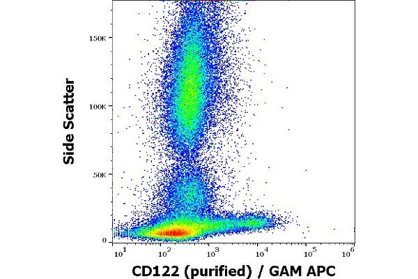 IL2 Receptor beta antibody