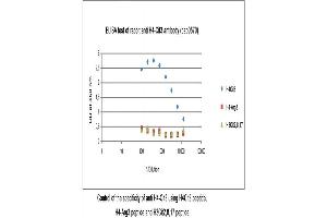 Image no. 1 for anti-Histone H4 (ciArg3), (N-Term) antibody (ABIN347793) (Histone H4 antibody  (ciArg3, N-Term))