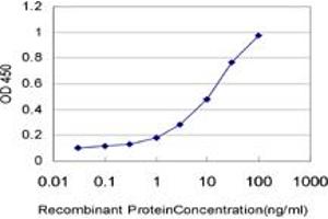 Detection limit for recombinant GST tagged GMPPB is approximately 0. (GMPPB antibody  (AA 1-110))