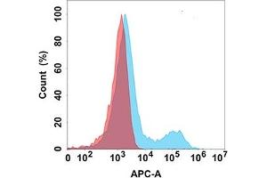 Flow cytometry analysis with Anti-NTB-A (DM159) on Expi293 cells transfected with human NTB-A (Blue histogram) or Expi293 transfected with irrelevant protein (Red histogram). (SLAMF6 antibody  (AA 22-226))