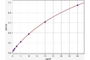 Typical standard curve (PCNA ELISA Kit)